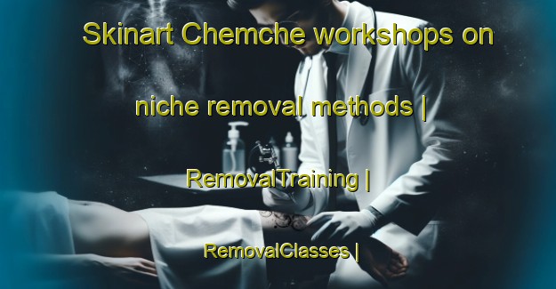 Skinart Chemche workshops on niche removal methods | RemovalTraining | RemovalClasses | SkinartTraining-Turkmenistan